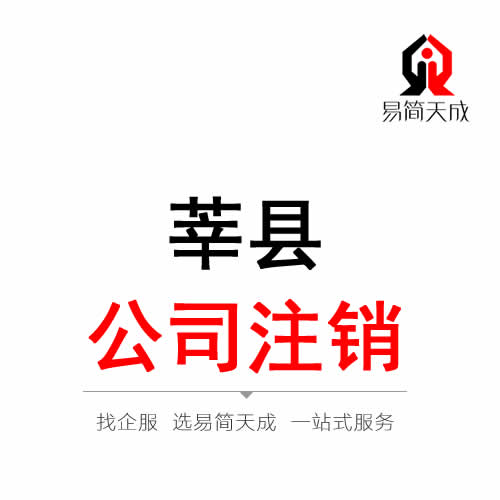 莘县公司注销代办理